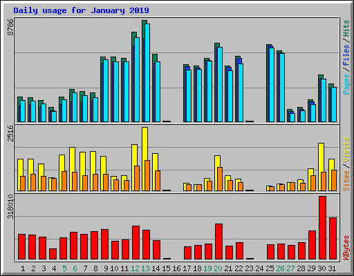 Daily usage for January 2019
