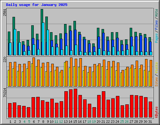 Daily usage for January 2025
