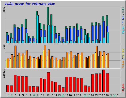 Daily usage for February 2025