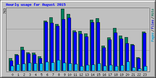 Hourly usage for August 2015