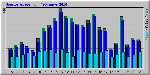 Hourly usage for February 2016