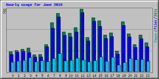 Hourly usage for June 2016