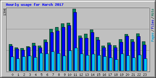 Hourly usage for March 2017