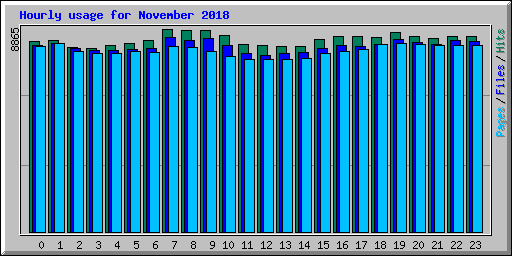 Hourly usage for November 2018