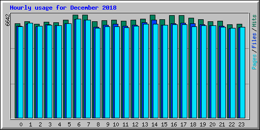 Hourly usage for December 2018