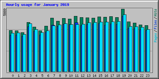 Hourly usage for January 2019