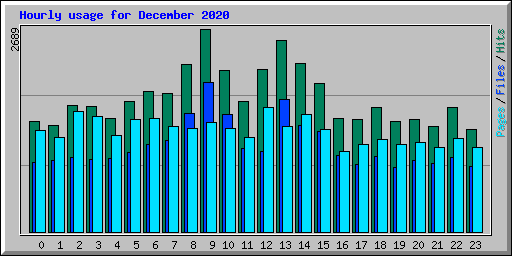 Hourly usage for December 2020