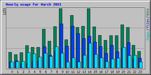 Hourly usage for March 2021