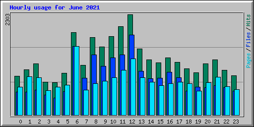 Hourly usage for June 2021