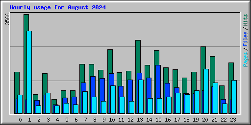 Hourly usage for August 2024