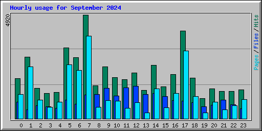 Hourly usage for September 2024