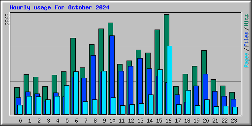Hourly usage for October 2024