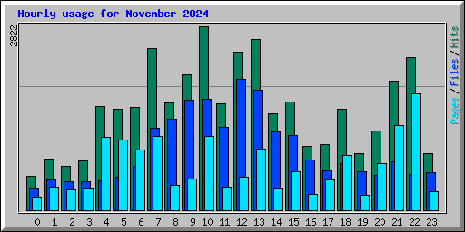 Hourly usage for November 2024