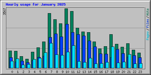 Hourly usage for January 2025