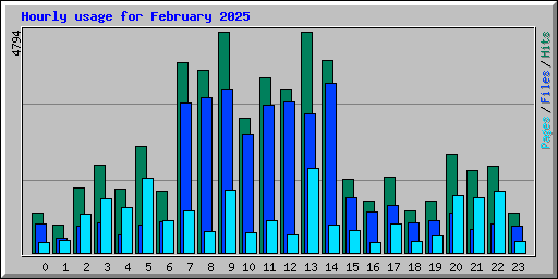 Hourly usage for February 2025