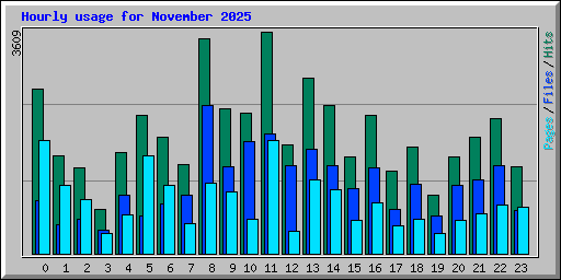 Hourly usage for November 2025