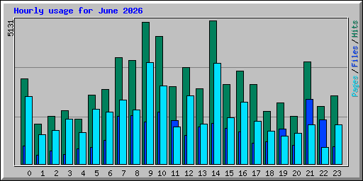 Hourly usage for June 2026