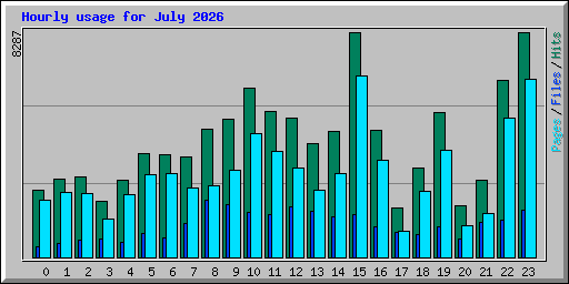 Hourly usage for July 2026