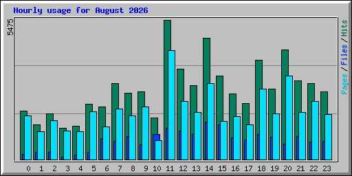 Hourly usage for August 2026